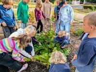 Die Arbeit im Schulgarten geht weiter