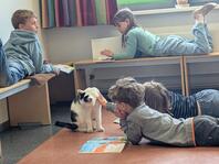Unser Schulkater Bruce – Ein ganz besonderer Begleiter!